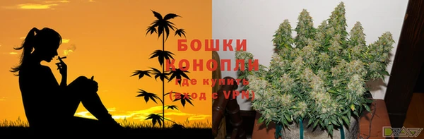 ALPHA-PVP Бородино
