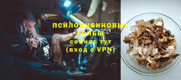 mdpv Бронницы