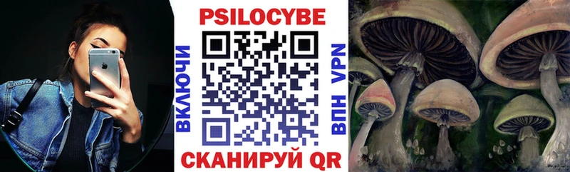 Псилоцибиновые грибы Psilocybine cubensis Каргат